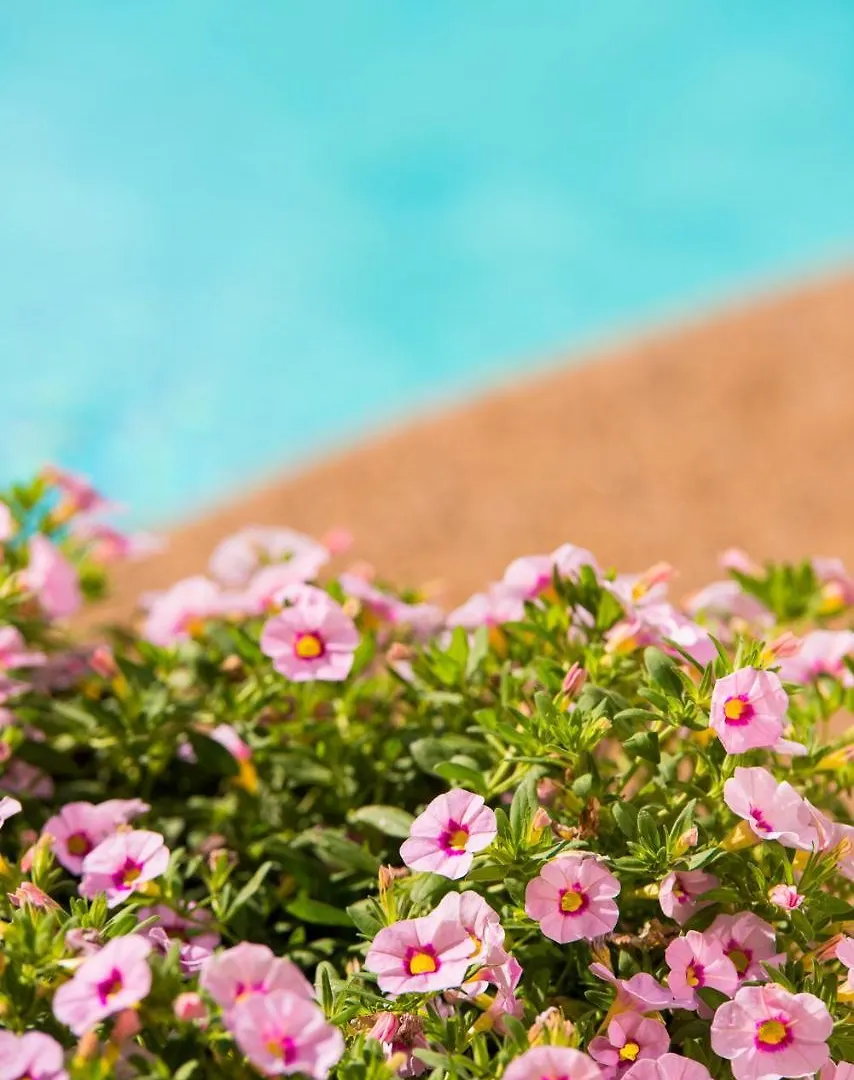 Neikos Mediterraneo Luxury Suites Hanioti